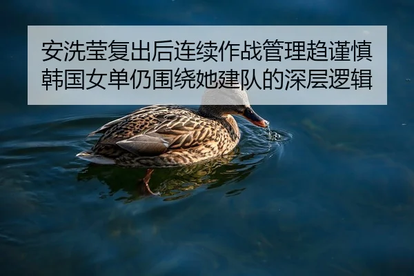 安洗莹复出后连续作战管理趋谨慎 韩国女单仍围绕她建队的深层逻辑